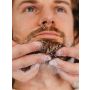 Proraso Beard Wash Wood and Spice 200 ml.