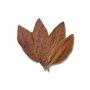 Taylor of Old Bond Street Tobacco Leaf Shampoo 250 ml.